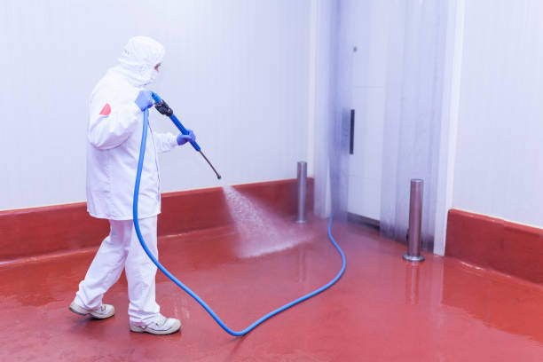Best Warehouse Cleaning  in Gueydan, LA